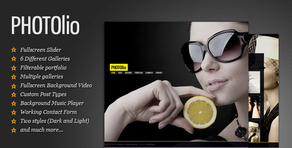premium_photography_theme_2