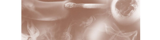 Brushes