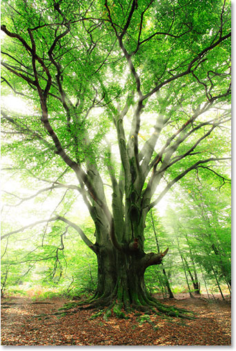 green