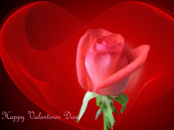 Happy Valentine Day