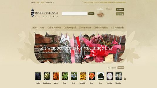 E-Commerce