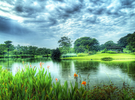 hdr