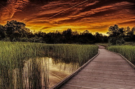 hdr