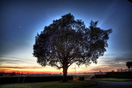 hdr