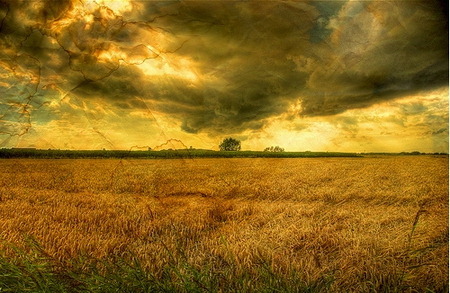 hdr