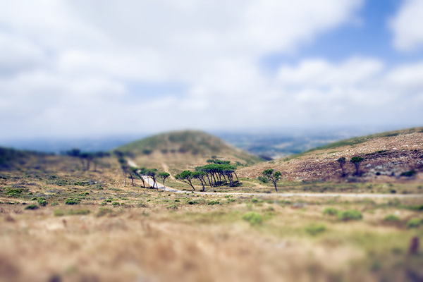 Tilt-shift