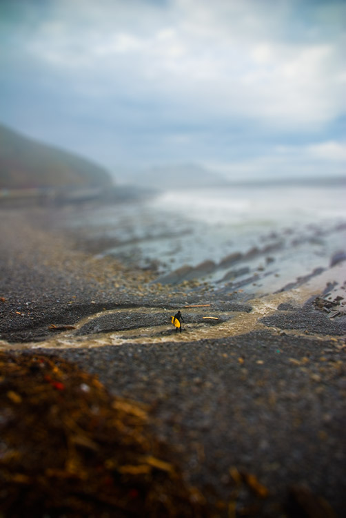 Tilt-shift