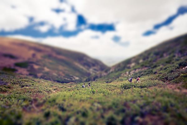 Tilt-shift