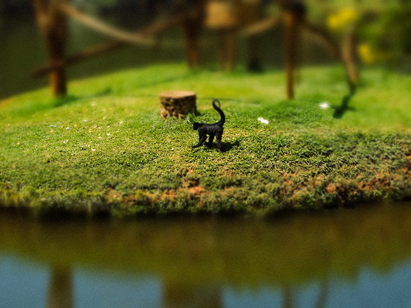 Tilt-shift