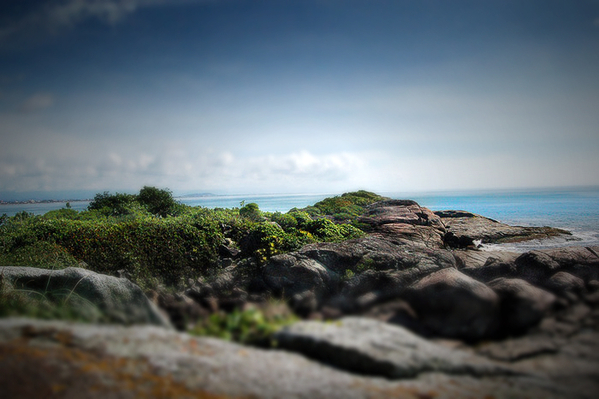 Tilt-shift