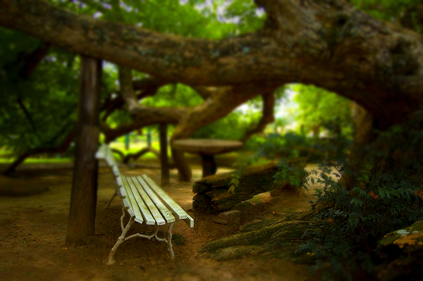 Tilt-shift