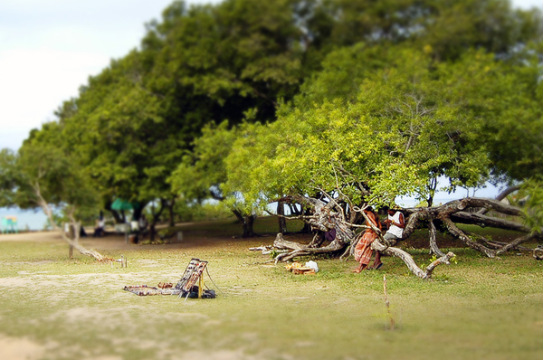 Tilt-shift