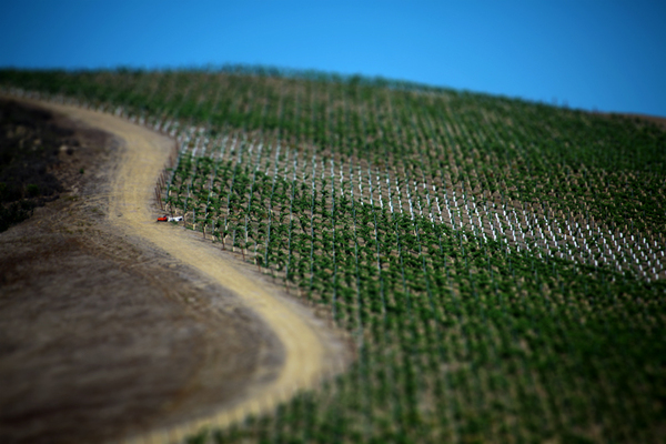 Tilt-shift