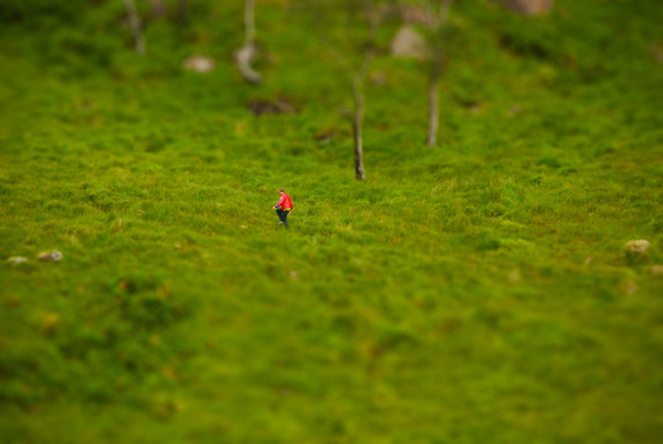 Tilt-shift