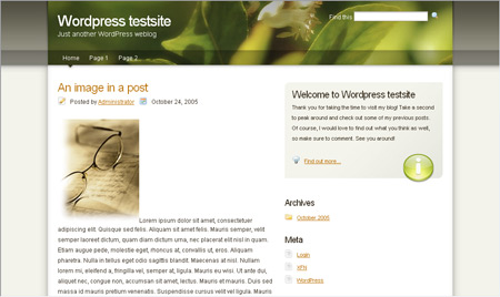 Wordpress