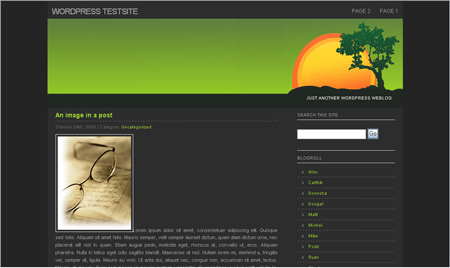 Wordpress