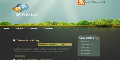 Wordpress