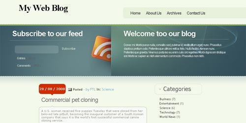 Wordpress