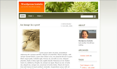 Wordpress