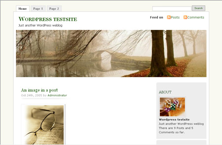 Wordpress