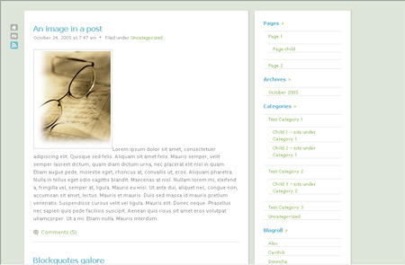 Wordpress