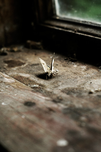 Photography