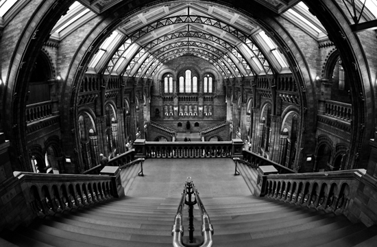 The Beauty of Architecture Photography: 40 Amazing Examples 27