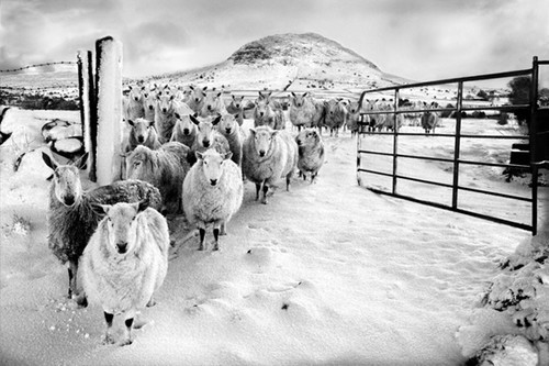 50+ Beautiful Black and White Photography 9