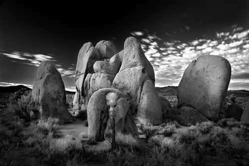 50+ Beautiful Black and White Photography 10