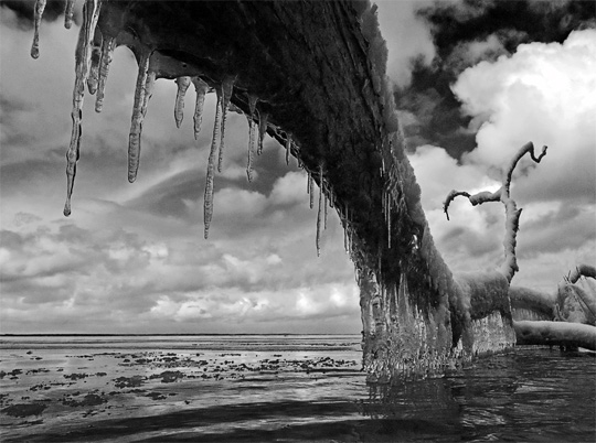 50+ Beautiful Black and White Photography 11