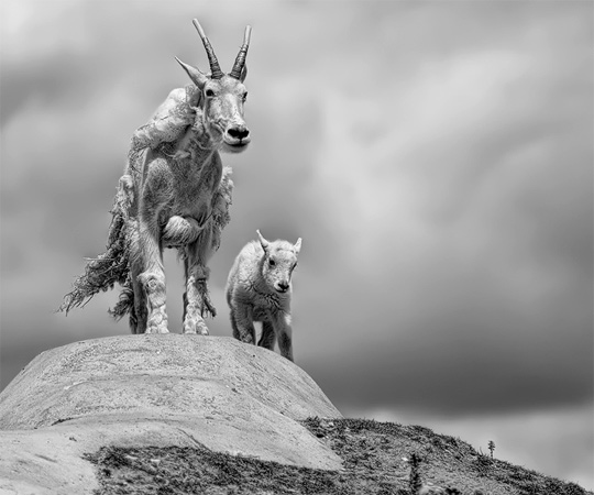 50+ Beautiful Black and White Photography 12