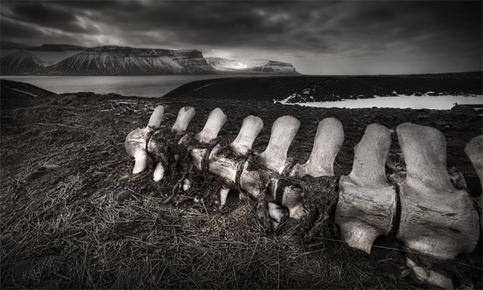 50+ Beautiful Black and White Photography 18