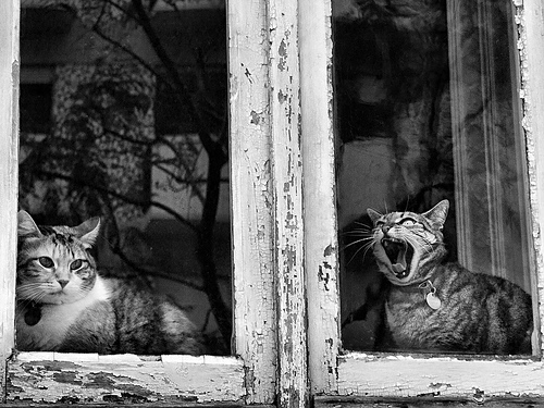 50+ Beautiful Black and White Photography 23