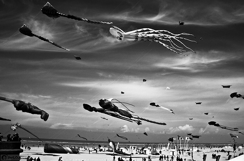 50+ Beautiful Black and White Photography 30