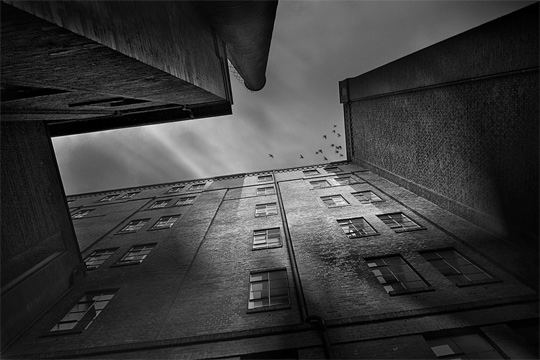 50+ Beautiful Black and White Photography 33