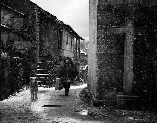 50+ Beautiful Black and White Photography 37