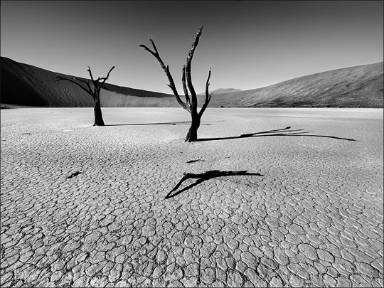 50+ Beautiful Black and White Photography 4