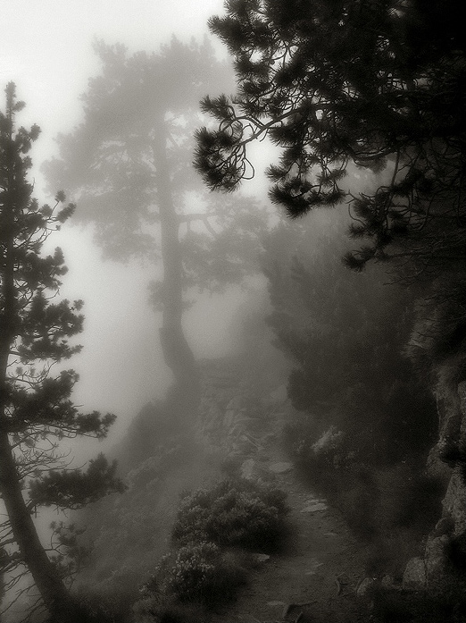 50+ Beautiful Black and White Photography 41