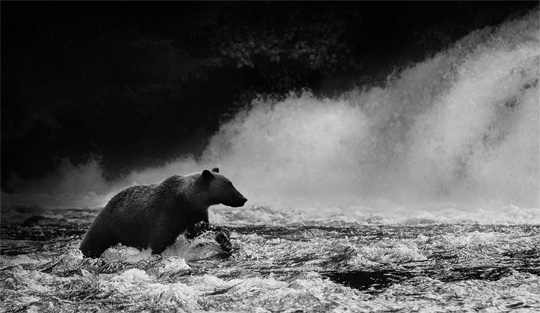 50+ Beautiful Black and White Photography 42