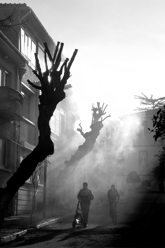 50+ Beautiful Black and White Photography 6