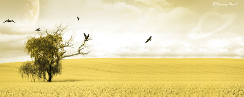 70+ Beautiful Dual Screen Desktop Wallpapers 13