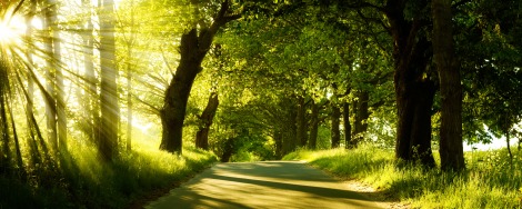 70+ Beautiful Dual Screen Desktop Wallpapers 50
