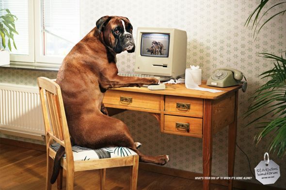 40+ Really Creative and Funny Print Advertisements 1