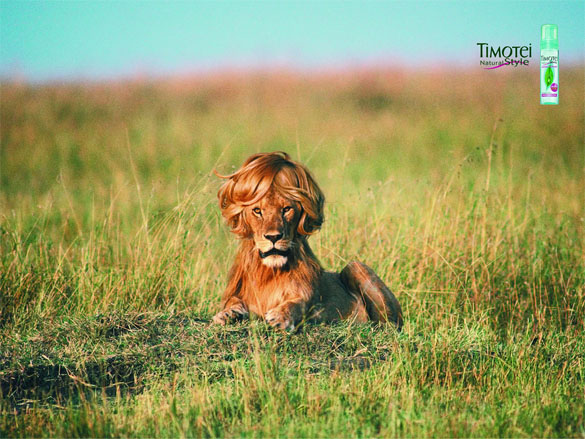 40+ Really Creative and Funny Print Advertisements 19