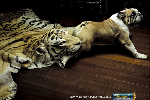 40+ Really Creative and Funny Print Advertisements 28