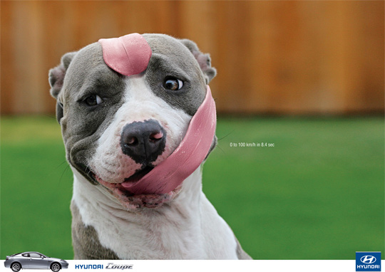 40+ Really Creative and Funny Print Advertisements 4