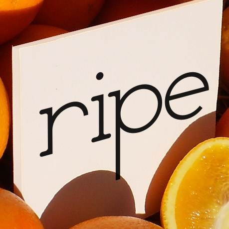25 Fresh High Quality Free Fonts For Your Design 18