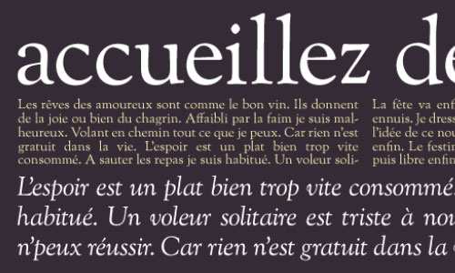 25 Fresh High Quality Free Fonts For Your Design 19