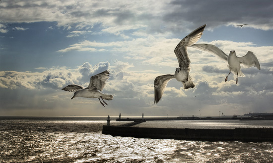 50+ Breathtaking Examples of Landscape Photography 12