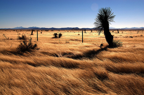 50+ Breathtaking Examples of Landscape Photography 16